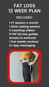 Fat Loss Plan - Monthly 1 to 1s
